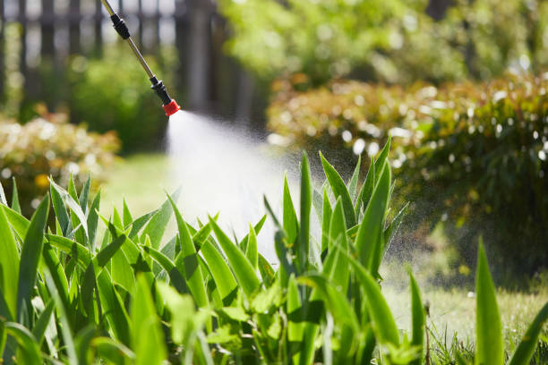 24/7 Emergency Wasp Removal experts in Bucyrus, OH