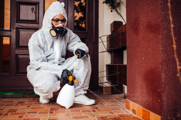 Reliable Wasp Removal contractor in Bucyrus, OH by Show Me Pest Control
