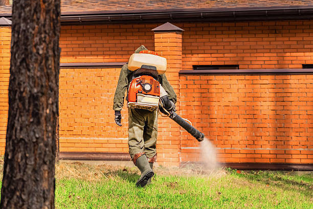 Top rated local Wasp Removal specialists in Bucyrus, OH